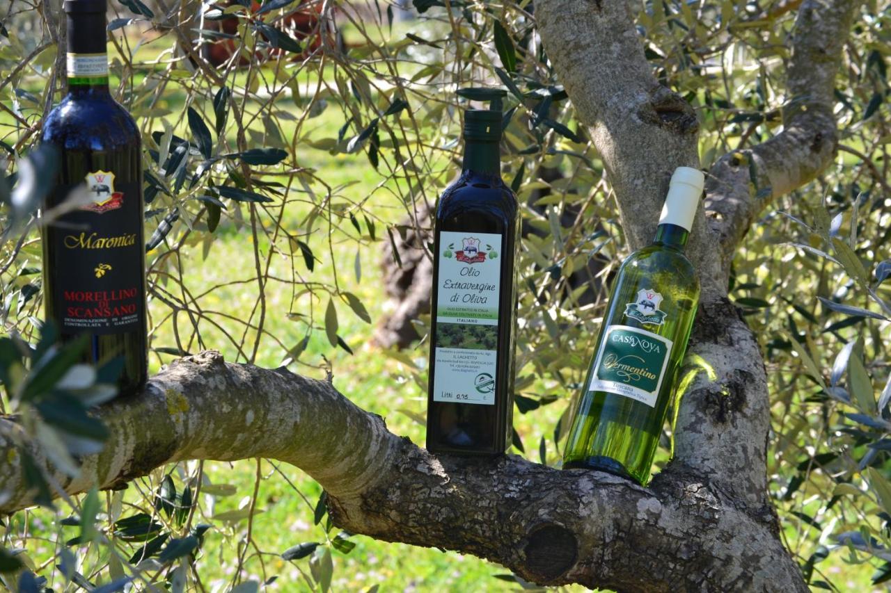 Agriturismo Il Laghetto Grosseto Exteriér fotografie