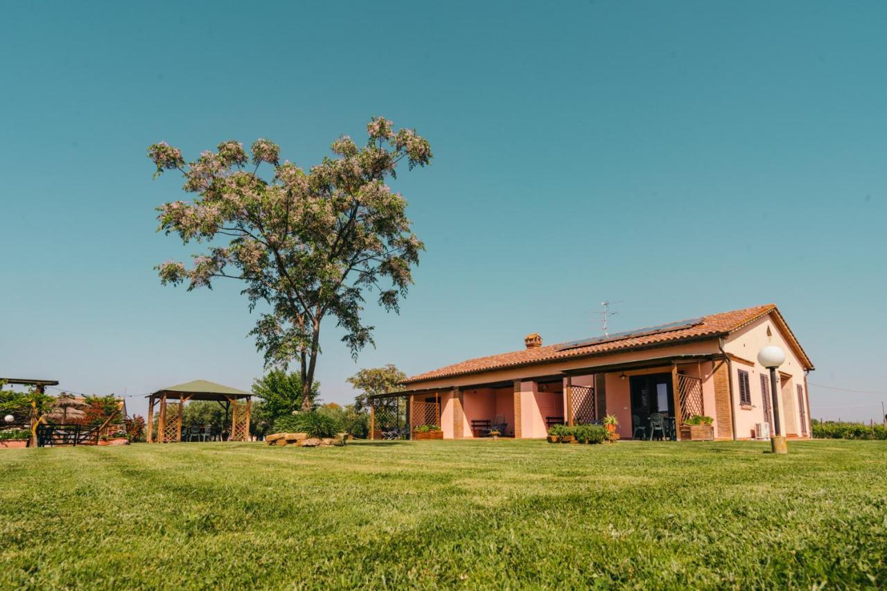 Agriturismo Il Laghetto Grosseto Exteriér fotografie