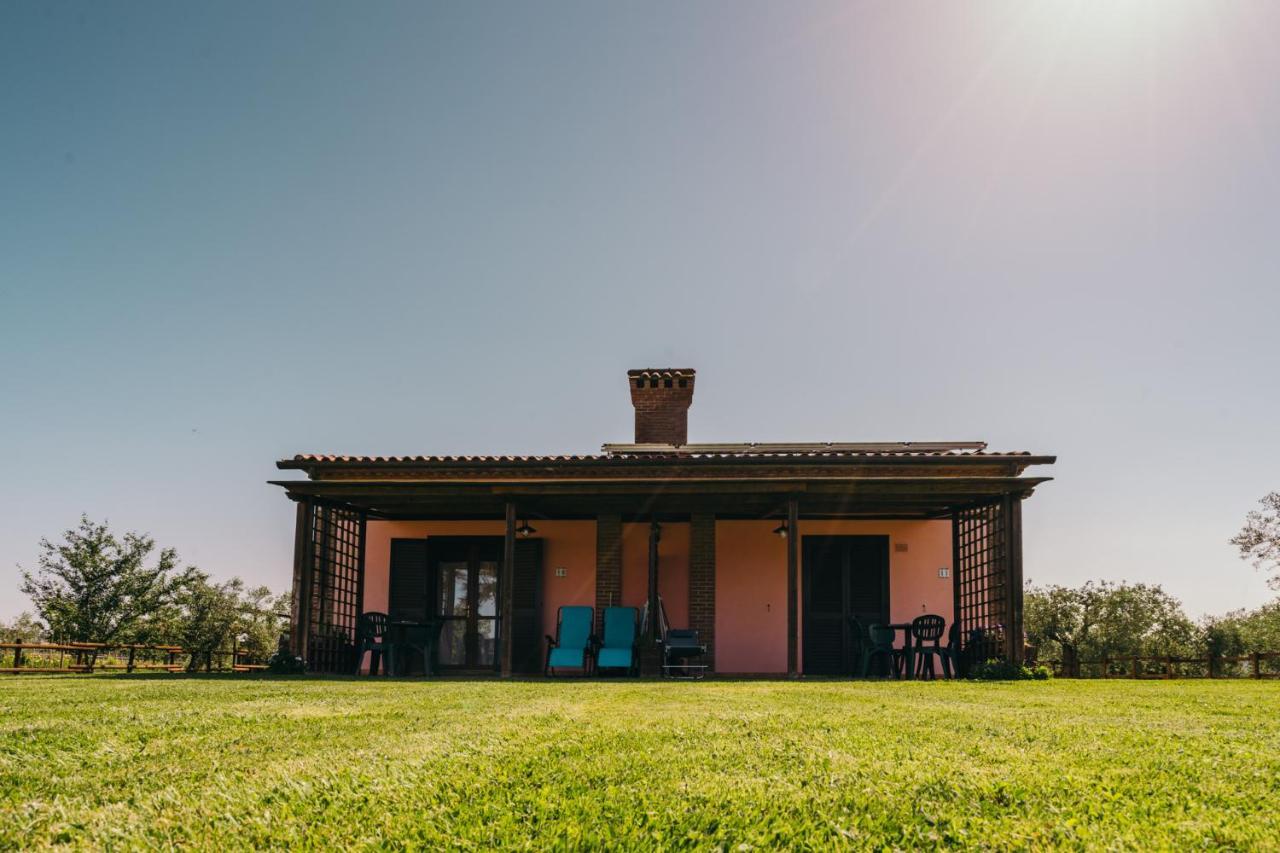 Agriturismo Il Laghetto Grosseto Exteriér fotografie