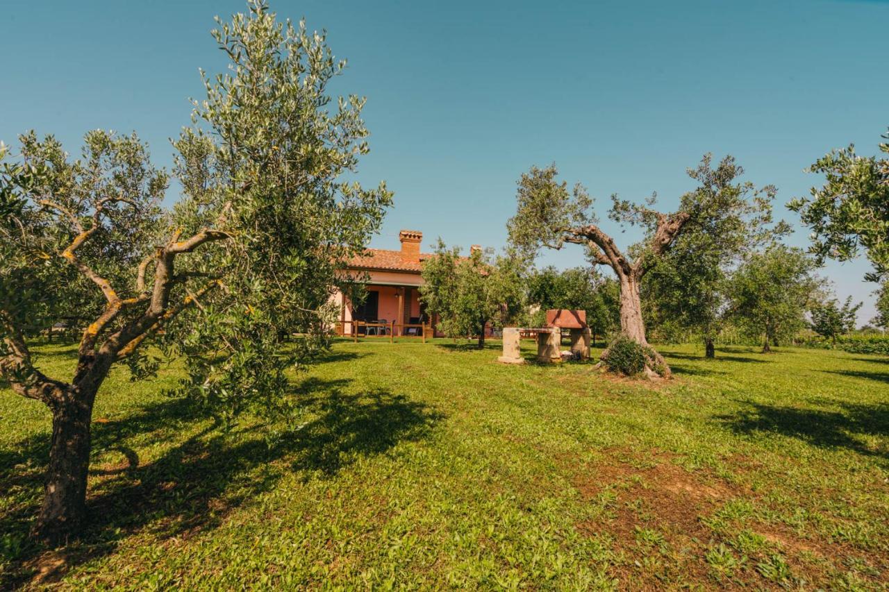Agriturismo Il Laghetto Grosseto Exteriér fotografie