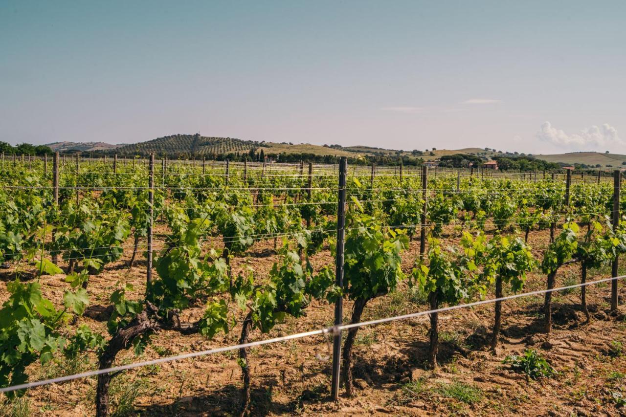 Agriturismo Il Laghetto Grosseto Exteriér fotografie