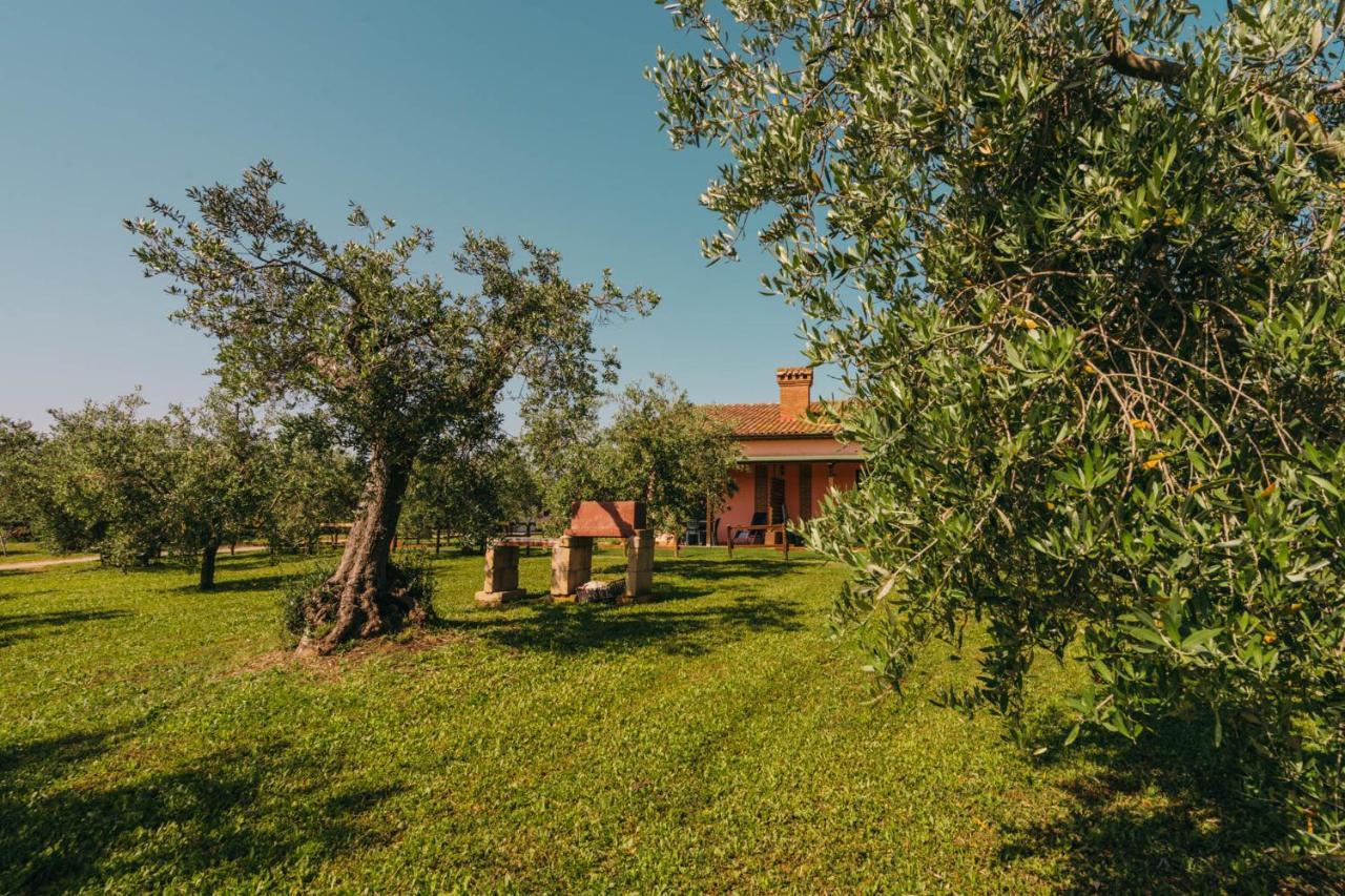 Agriturismo Il Laghetto Grosseto Exteriér fotografie